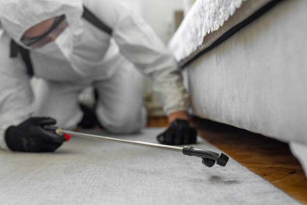 Professional Mosquito Control technician working in Kansas City, KS