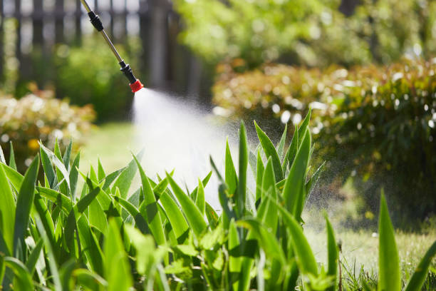24/7 Emergency Mosquito Control experts in Kansas City, KS