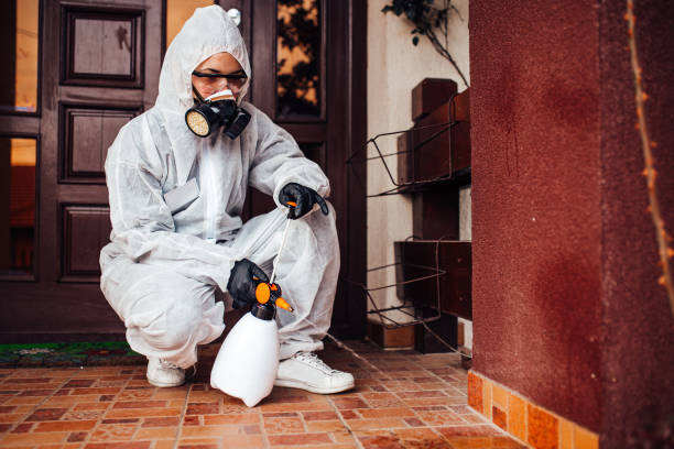 Reliable Mosquito Control contractor in Kansas City, KS by Nex Pest Control