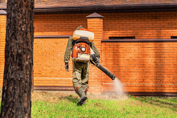 Trusted Termite Control service in Kansas City, KS - Nex Pest Control